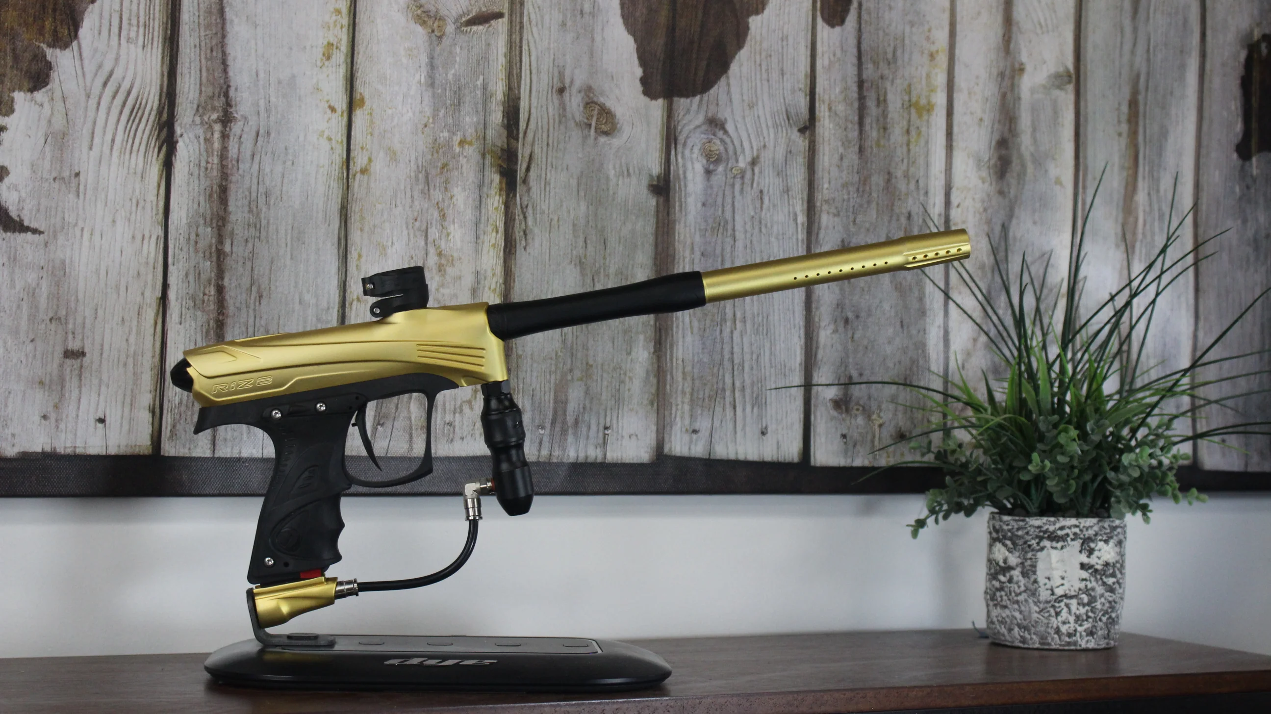 Dye Rize CZR - Gold/Black